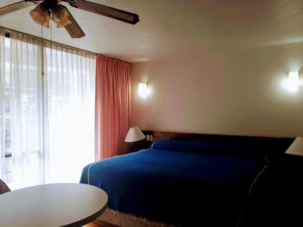 Hotel Del Parque - Chambres