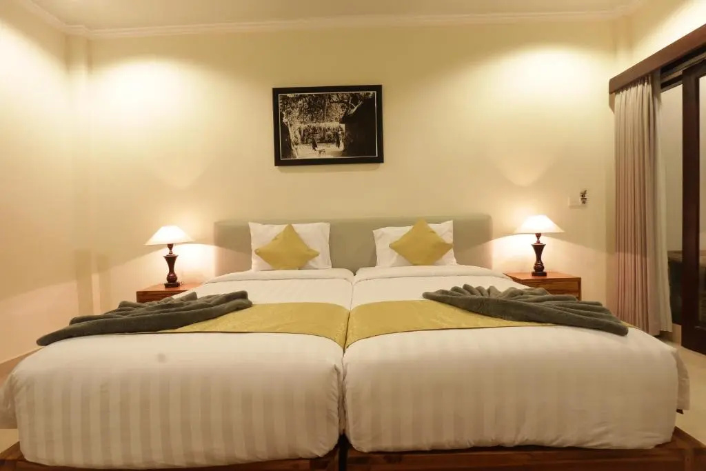 Deluxe Double room (twin beds)