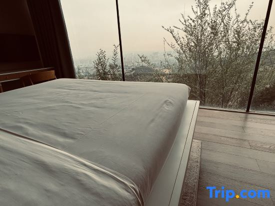 Tigerlily - Chambres