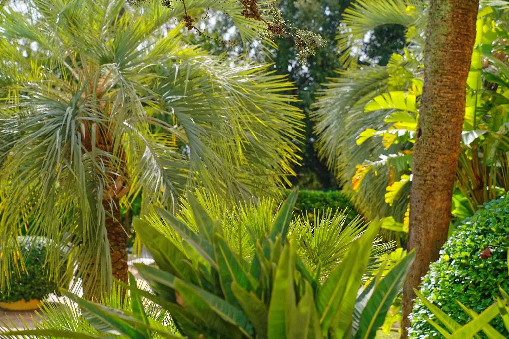 Radisson Hotel Cannes Seaside - Général