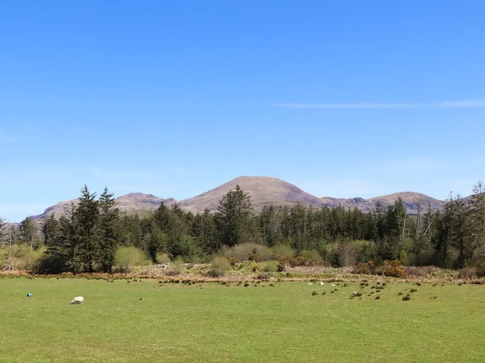 Hafod Y Llyn