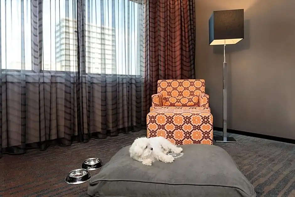 Sheraton Essen Hotel - Chambres