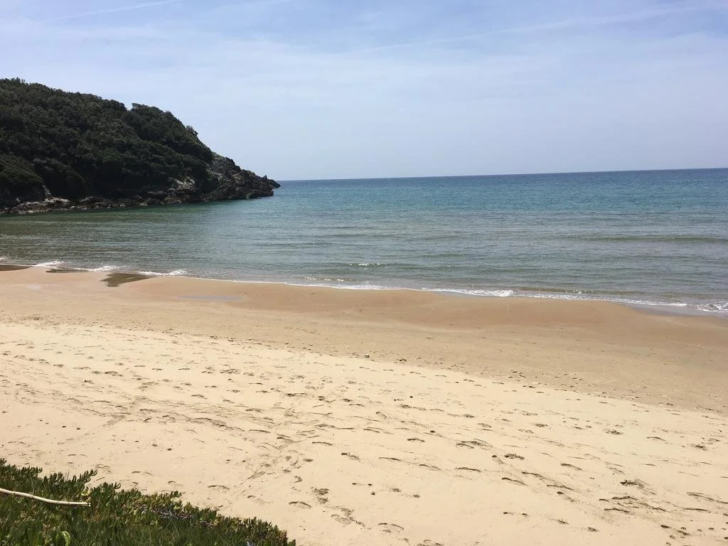 Beach & Waterfront