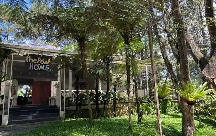 The Peak Home