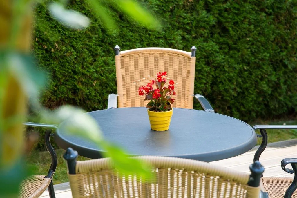 Balcony & Terrace