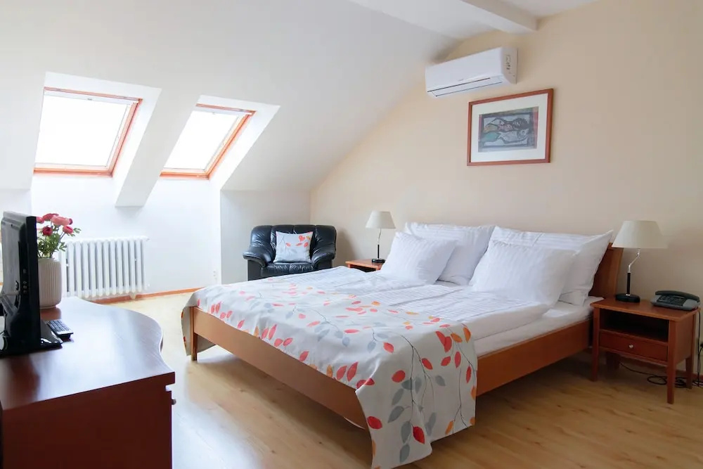 Standard Double Suite with city view (full double bed)
