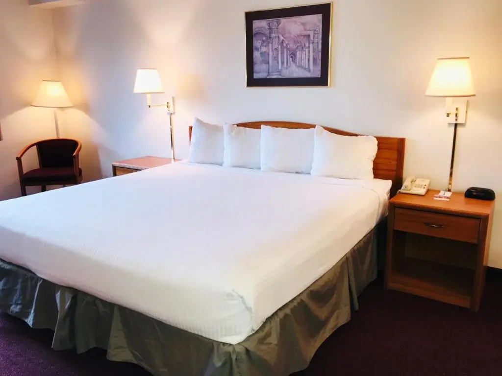 Standard Single room (single bed)