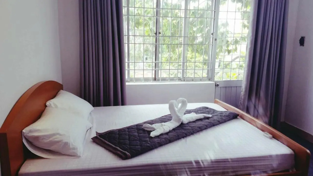 Standard Double room with city view (full double bed)