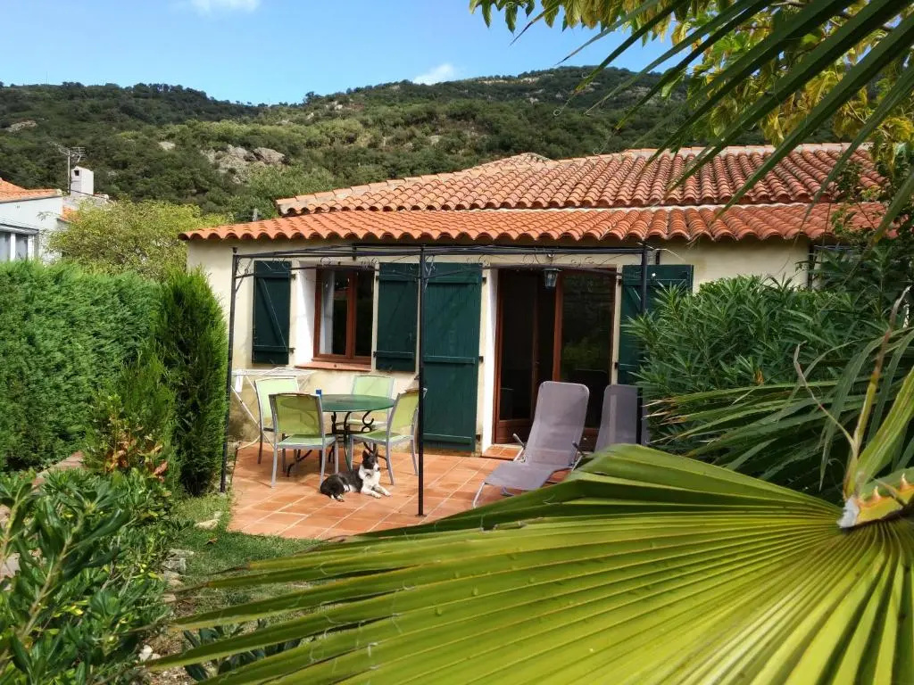 Apartment with garden view