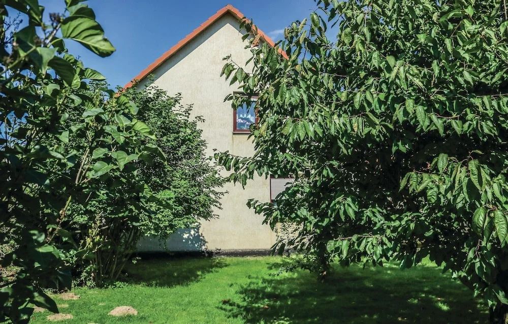Stunning Apartment in Rankwitz With 1 Bedrooms and Wifi