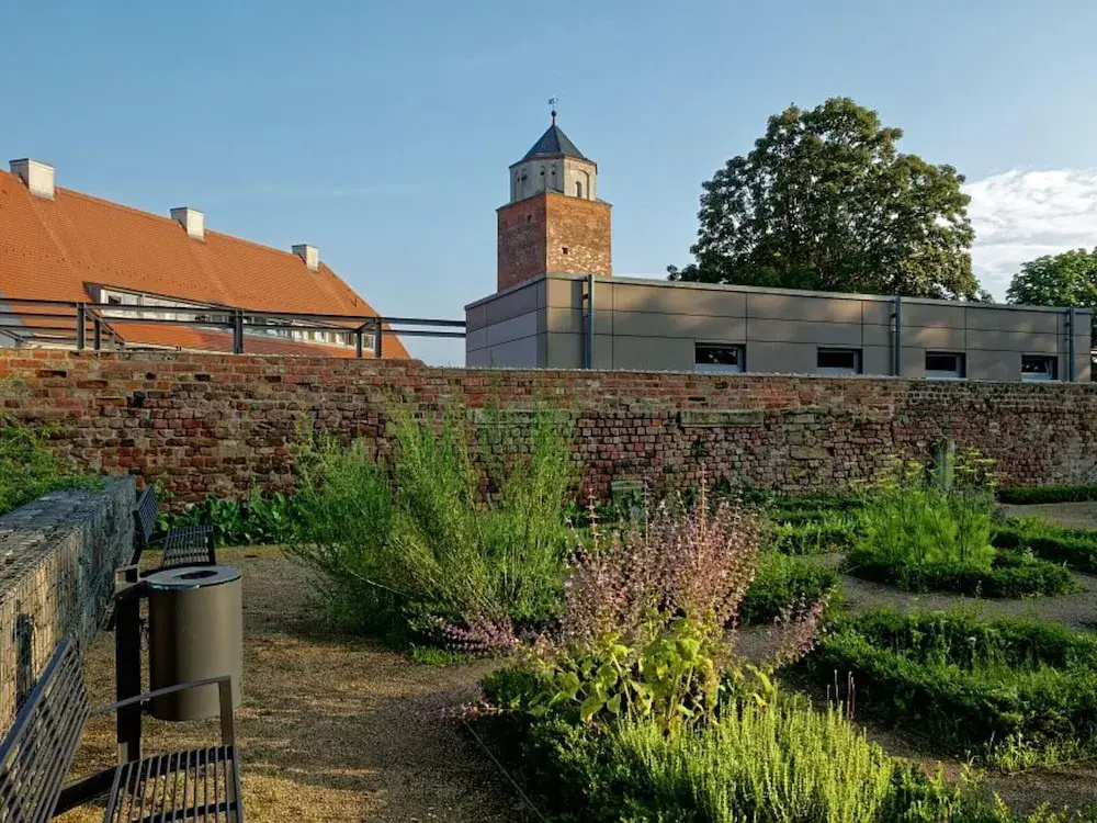 Terrace Apartment Saxony
