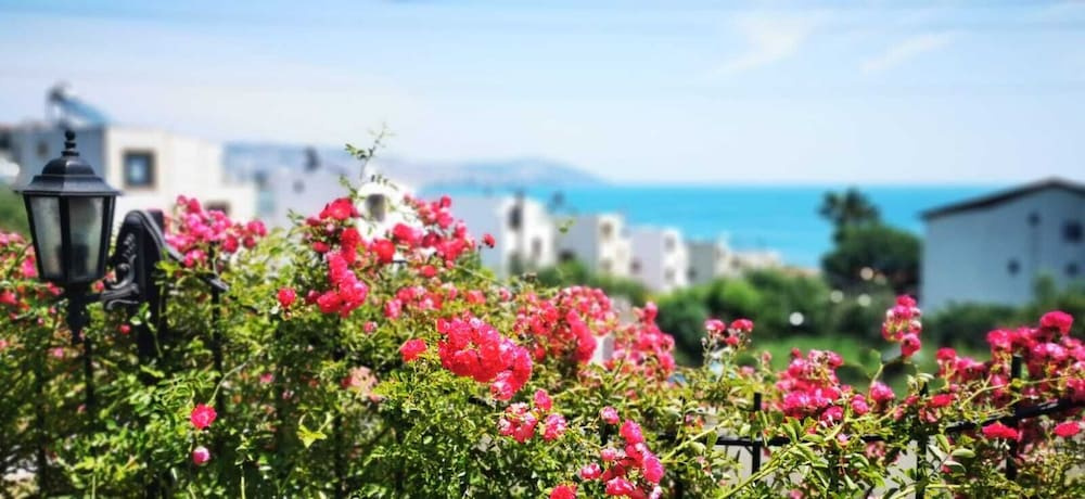 Hotel photo 32