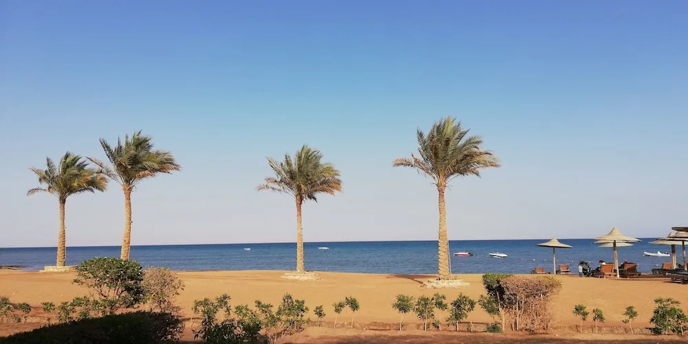 Beach & Waterfront