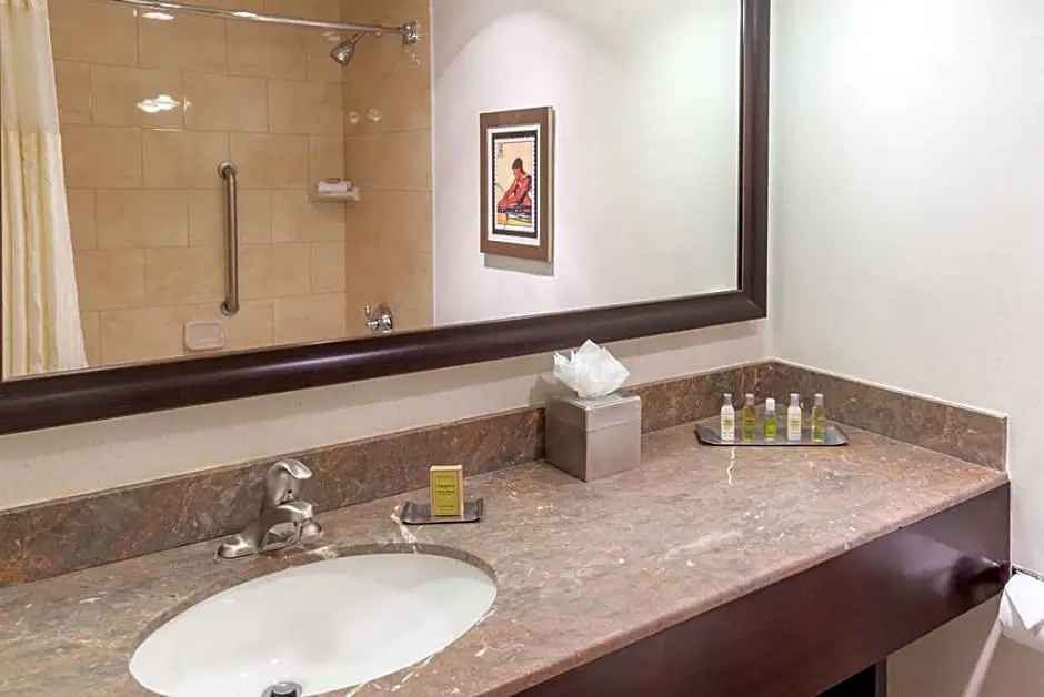 The Capital Suites Hotel - Chambres