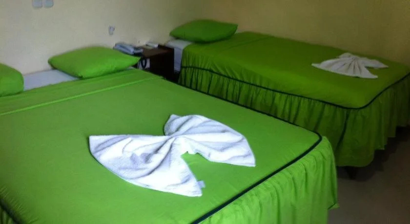 Hotel Alfredo´s - фото 5