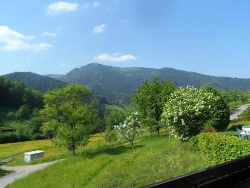 Balcony & Terrace
