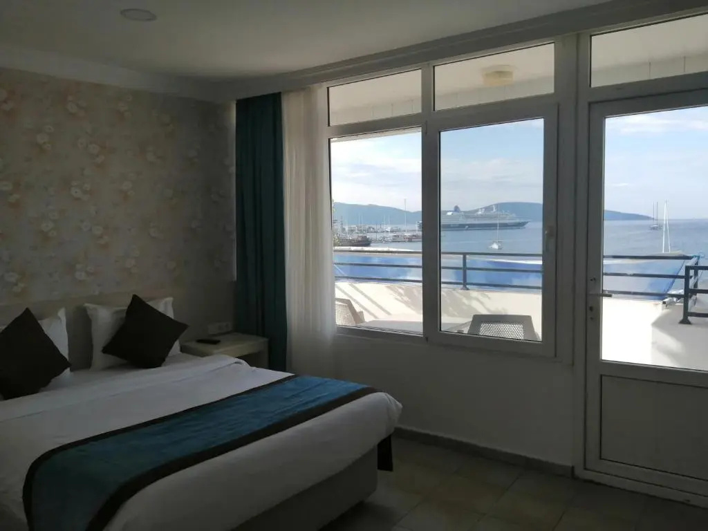 Standard Double room with balcony (full double bed)
