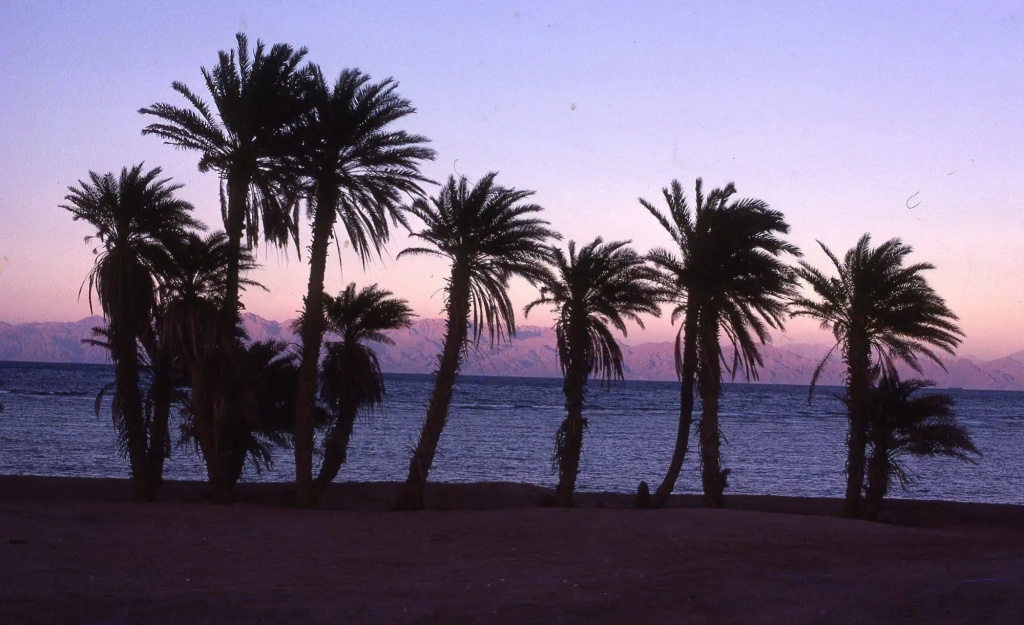 image url