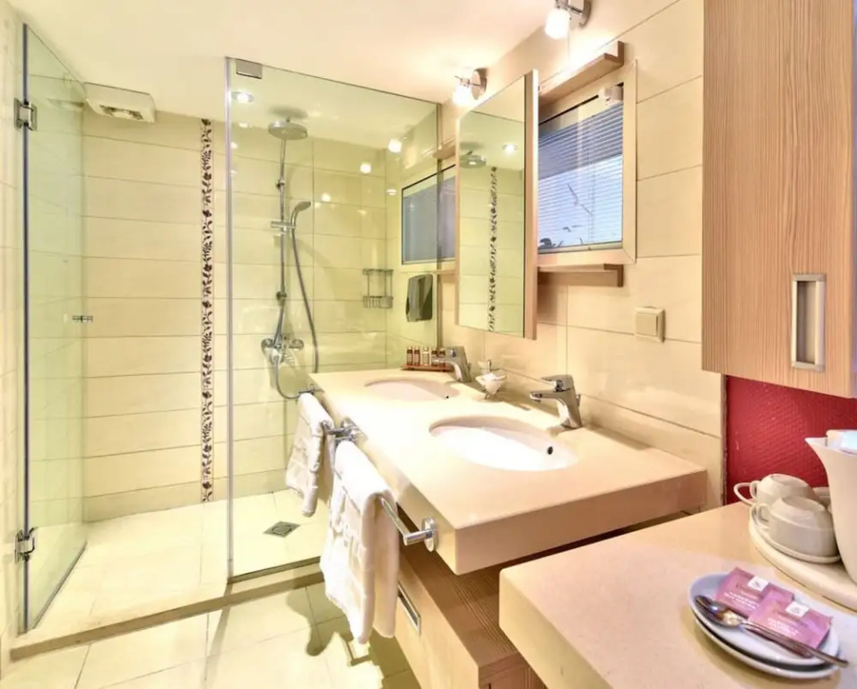 Standard Double room with park view (full double bed)