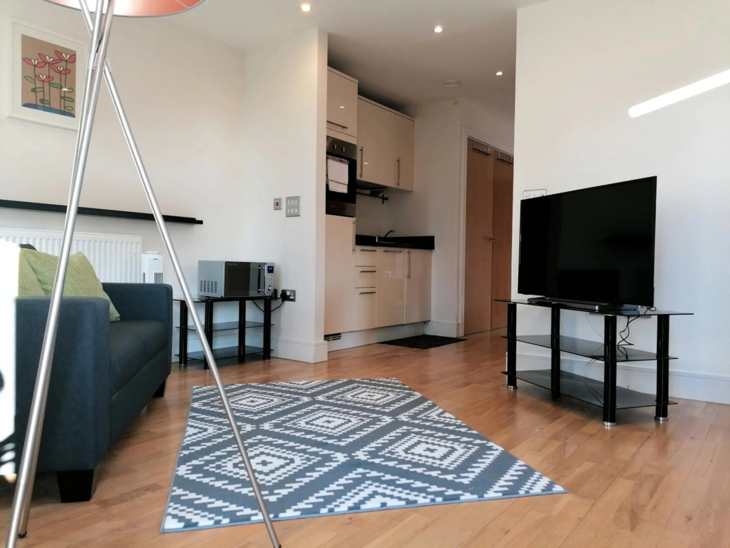 Beautiful comfy Apartment in London
