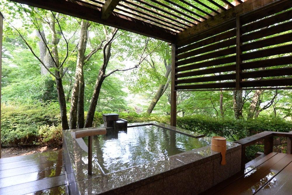Hakone Gora Byakudan 사진 44