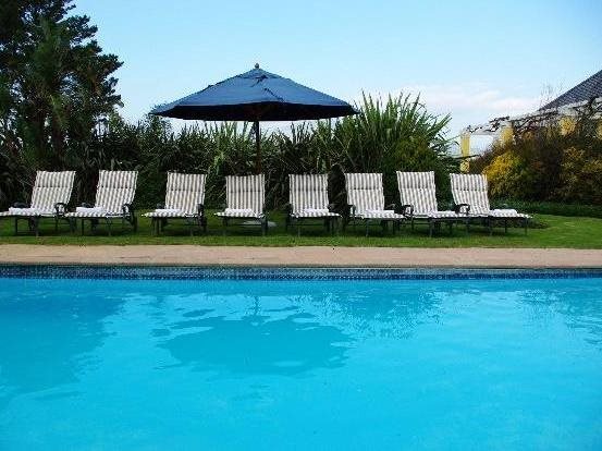 Lyngrove Wines & Guesthouse - фото 4