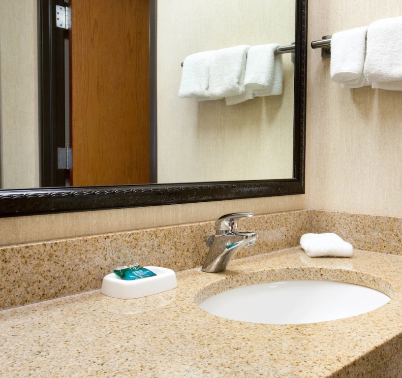 McAllen Plaza Hotel & Suites - Chambres