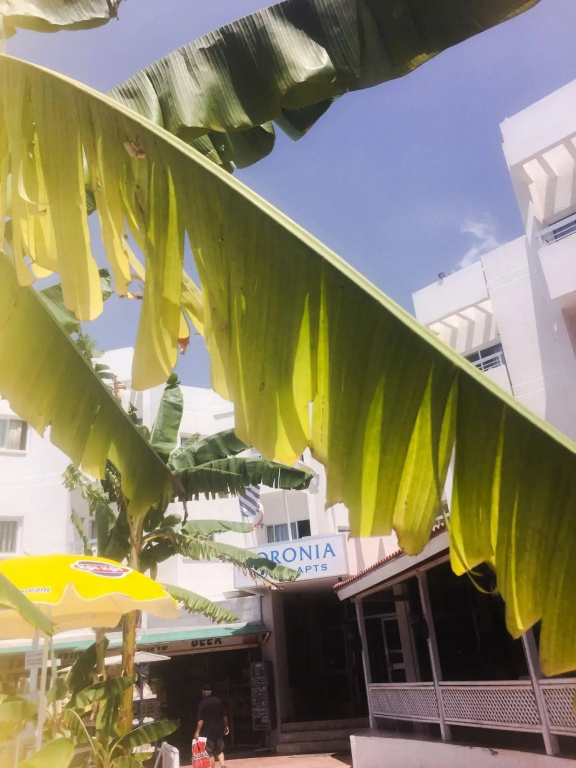 Hotel photo 28