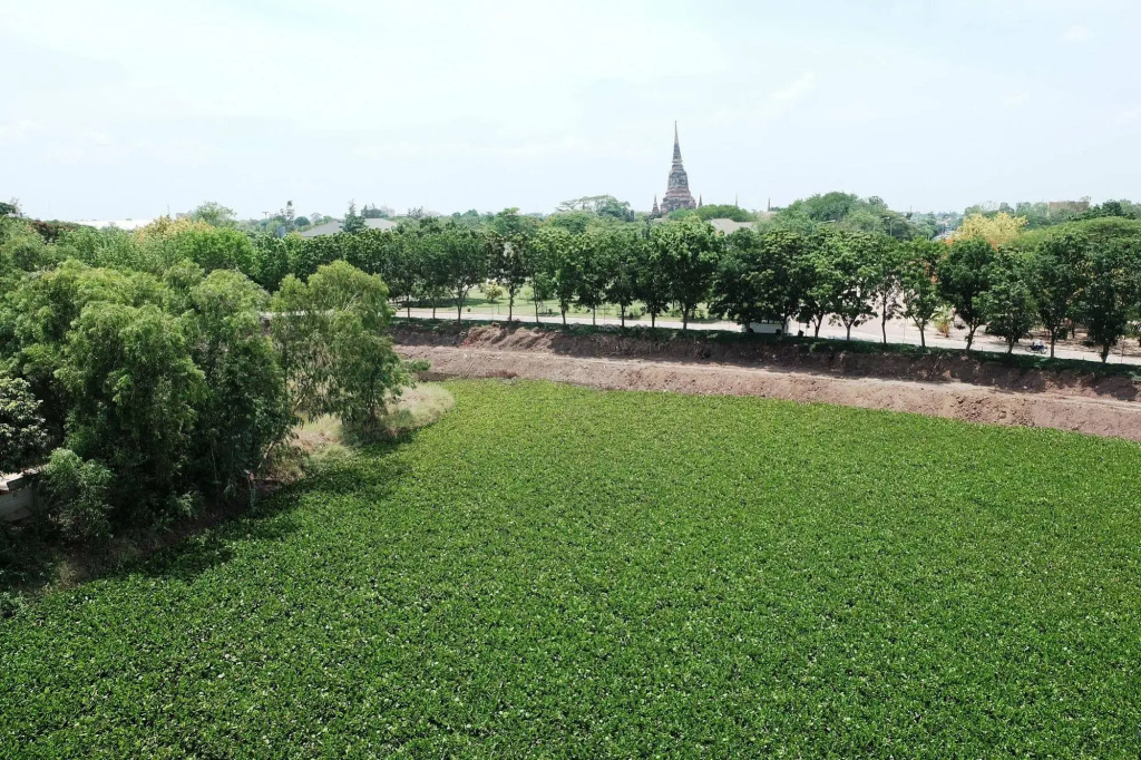 Onvara Place - Général