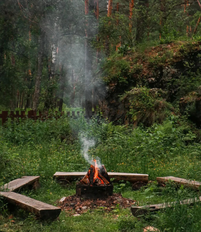 Роял Форест - фото 11