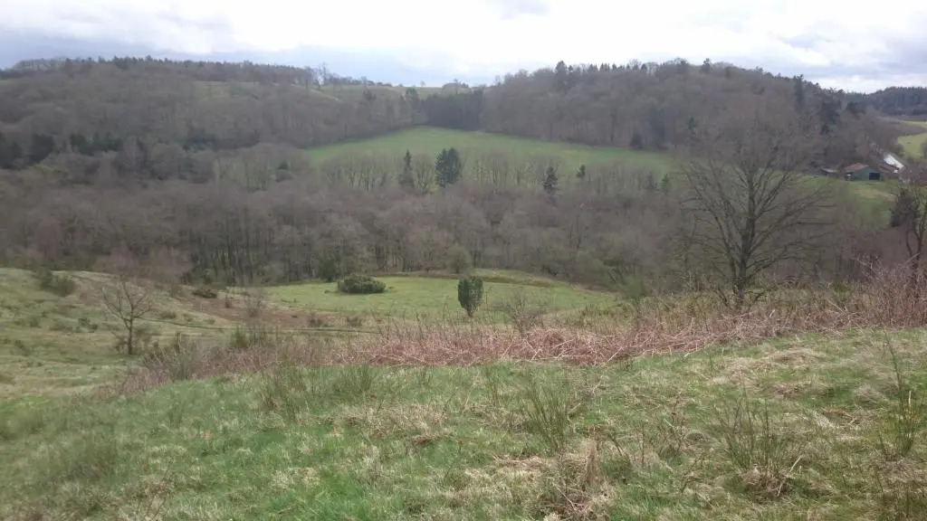 Egtved Hotel - фото 4