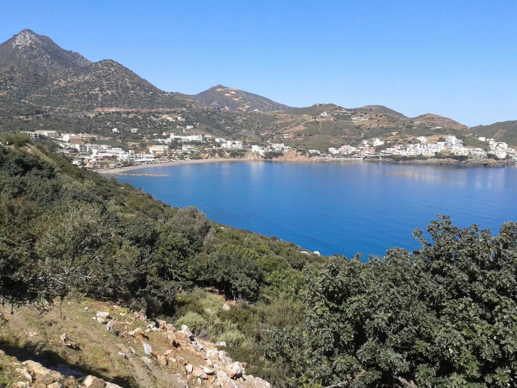 Beach & Waterfront