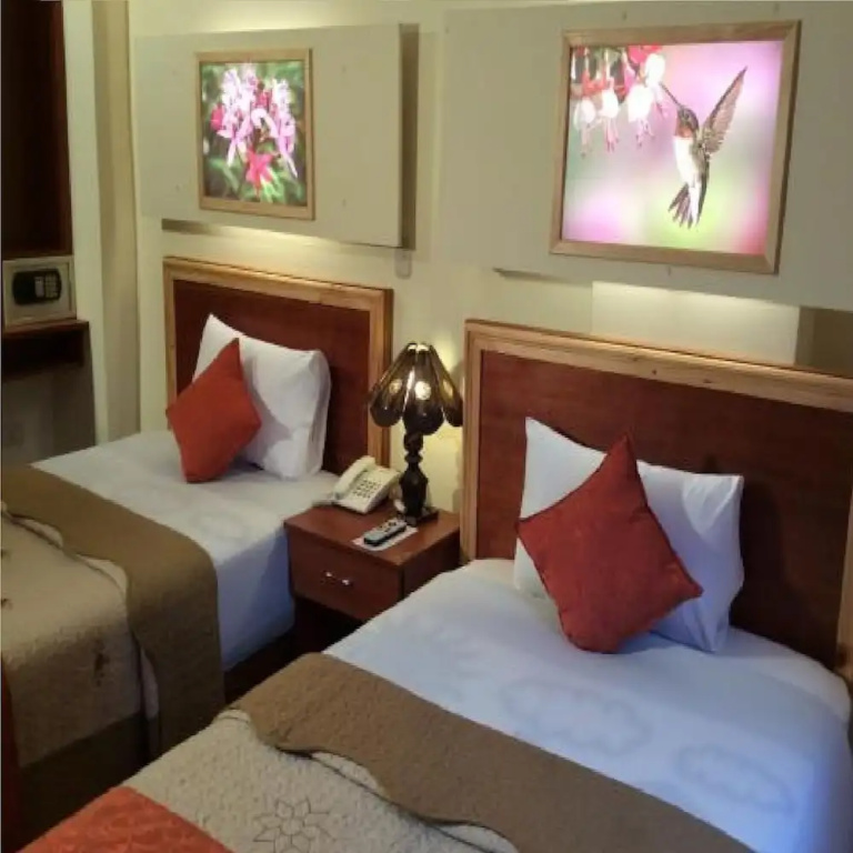 Standard Double room (twin beds)
