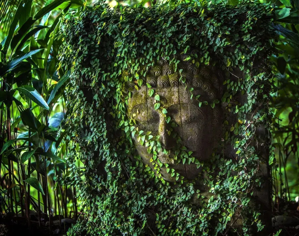 Costa Rica Yoga Spa - Général