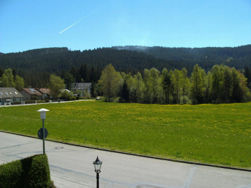 Hotel Rheingold - Général