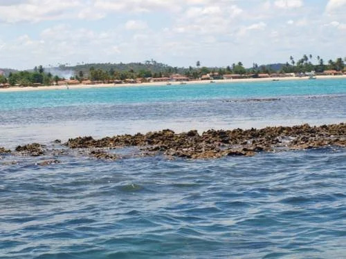 Pousada Beira Mar Tamandaré - Général