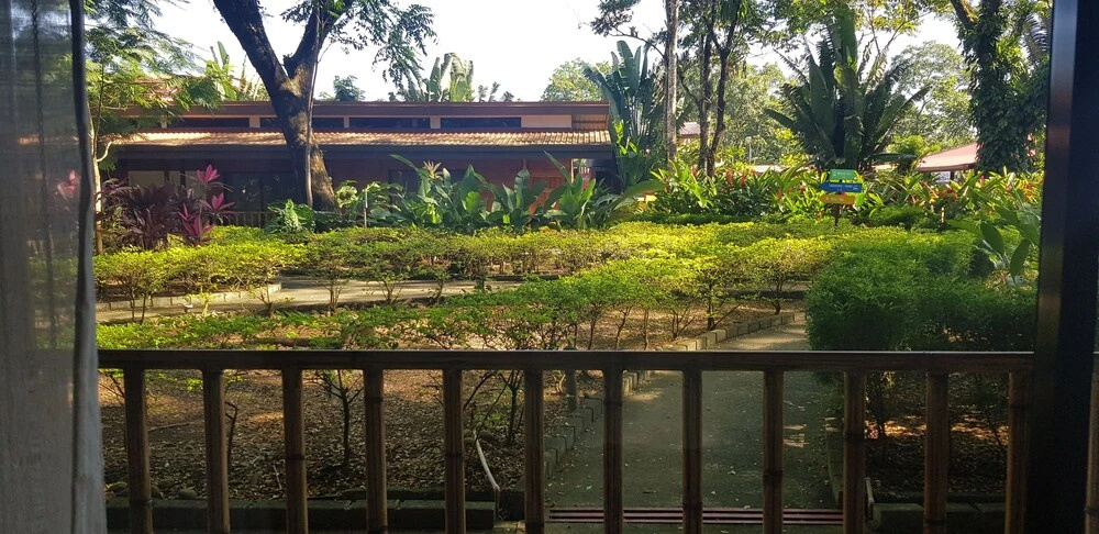 Hotel Lapas Volando