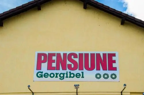 GEORGIBEL