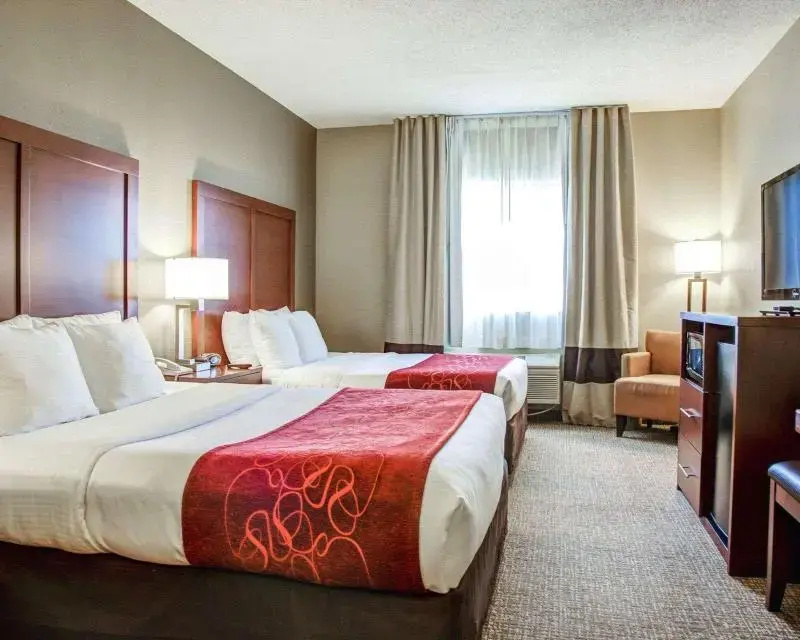 Comfort Suites Lombard - Addison - Chambres
