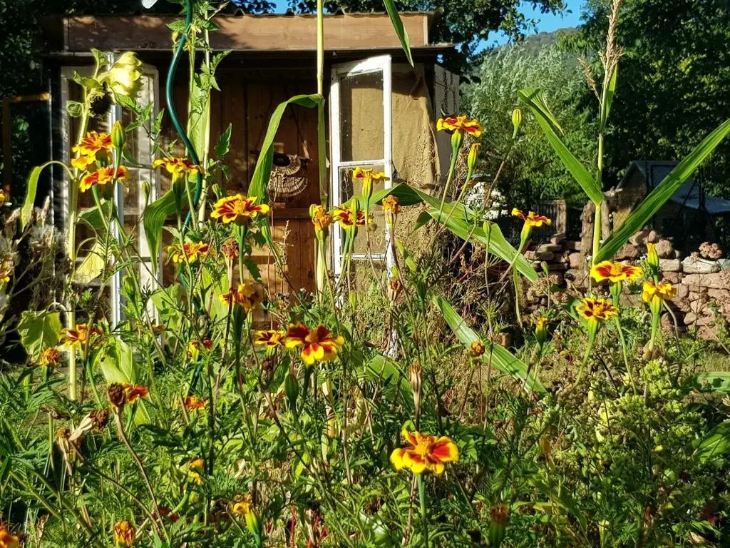Afficher la photo 8 — Le jardin des gouttes