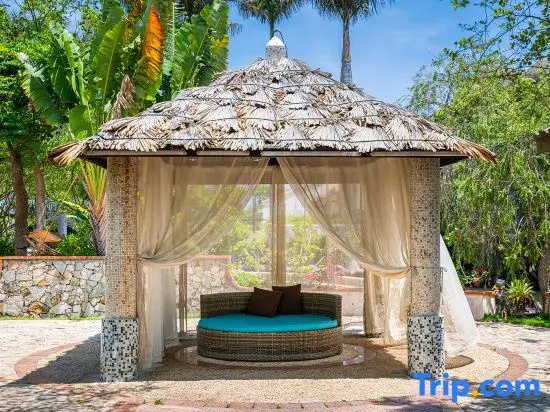 Spa & Wellness