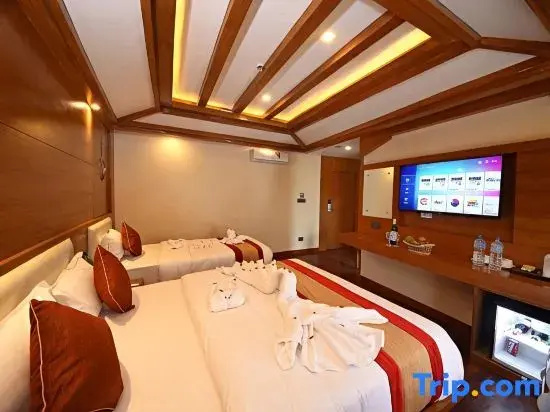 Deluxe Family room
