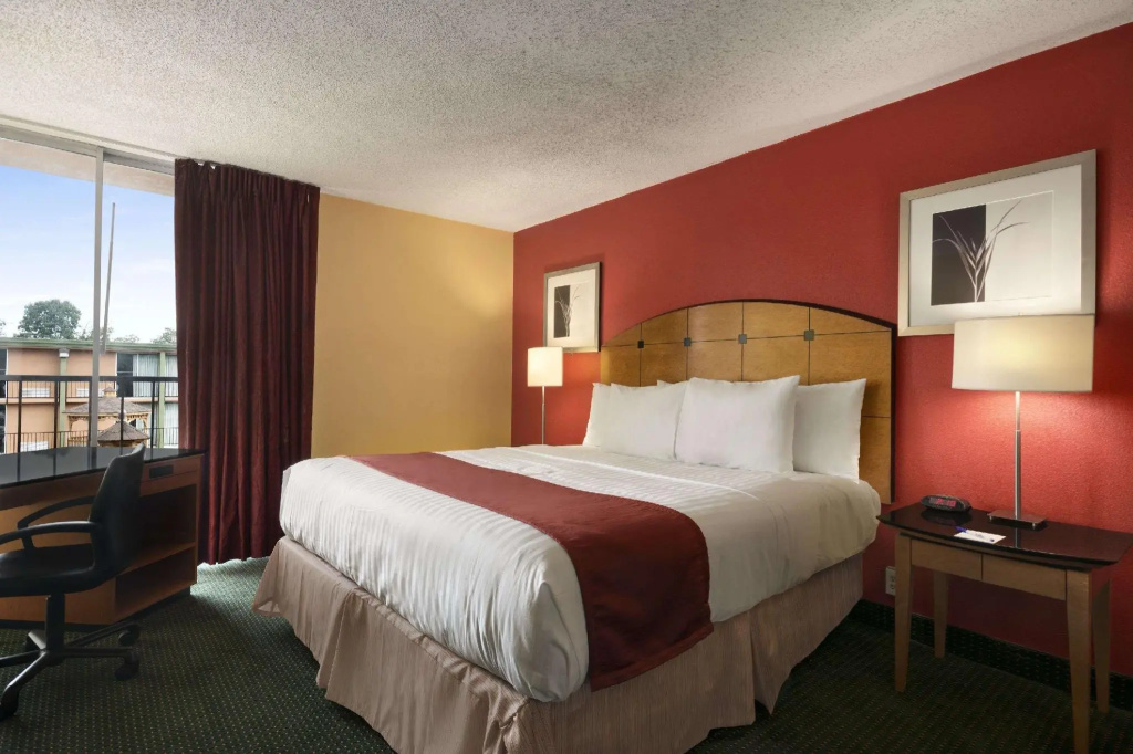 Standard Double room (full double bed)