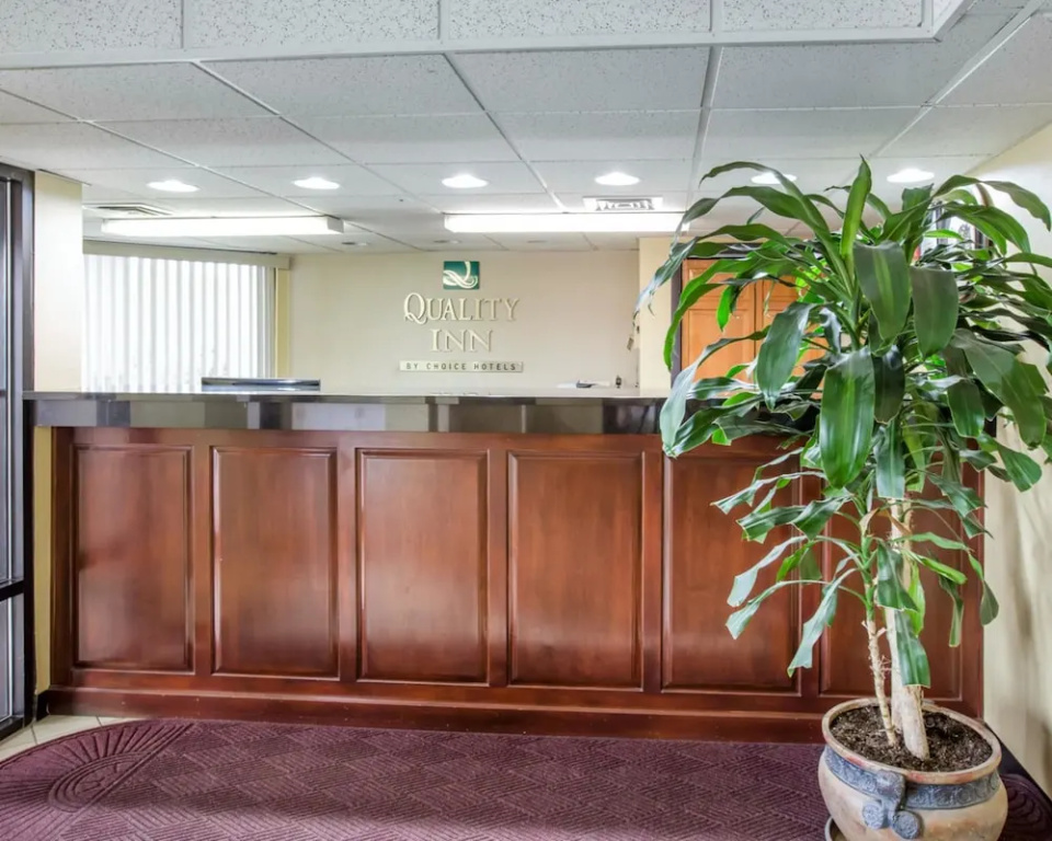 Lobby & Reception