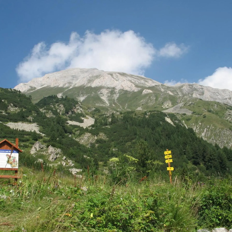 Hotel photo 45