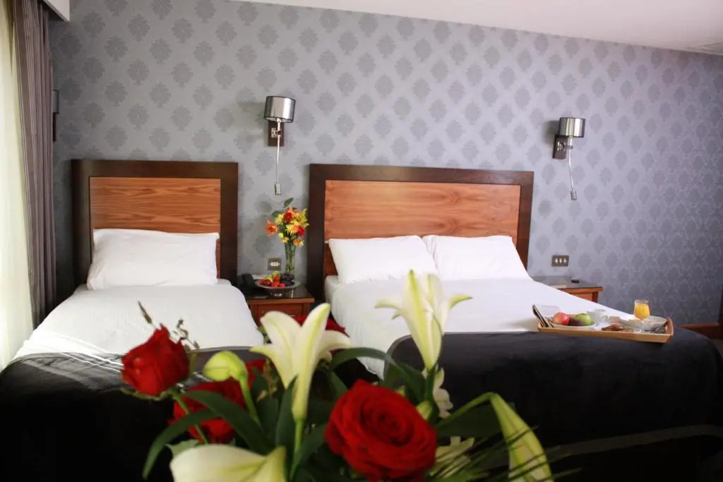 Treacy's Hotel Waterford Spa & Leisure Centre - Chambres