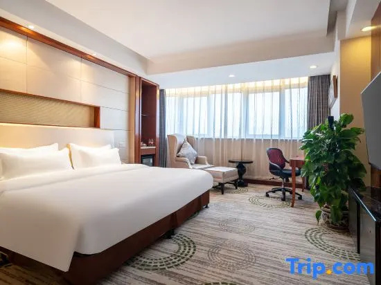 Standard Double room with city view (full double bed)
