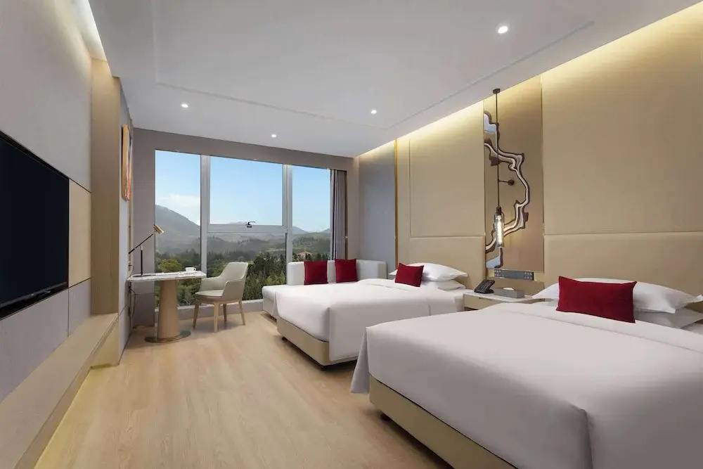 Deluxe Double room (twin beds)
