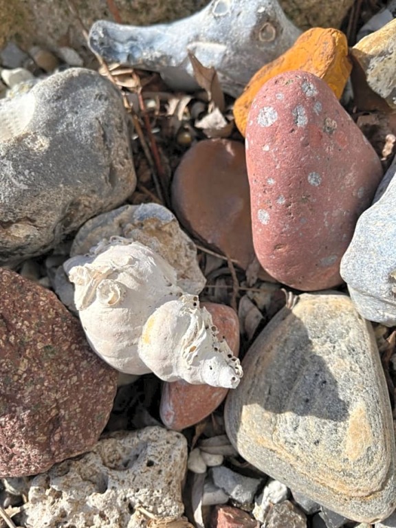 Отель Apartment Ruhetgaard Bed & kitchen, фото 4