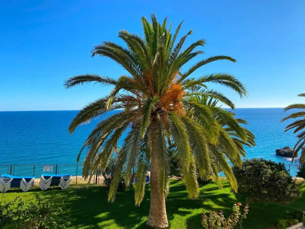 Hotel photo 31